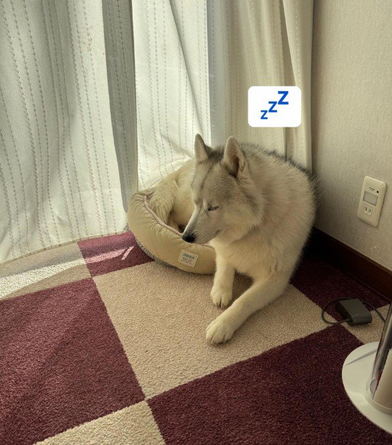 はみ出してもお構いなし