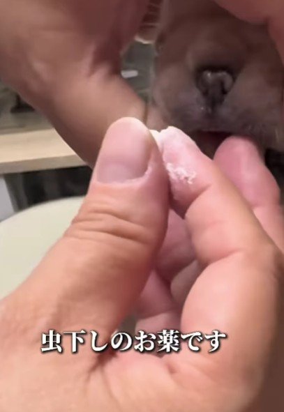 錠剤を口に入れられたら