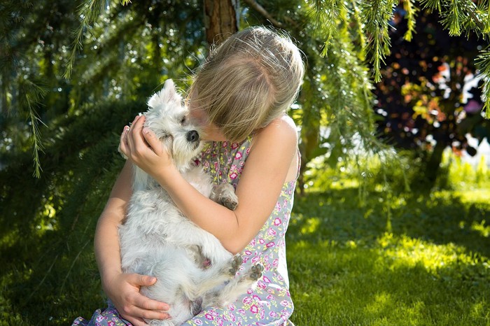 犬と女の子の写真 