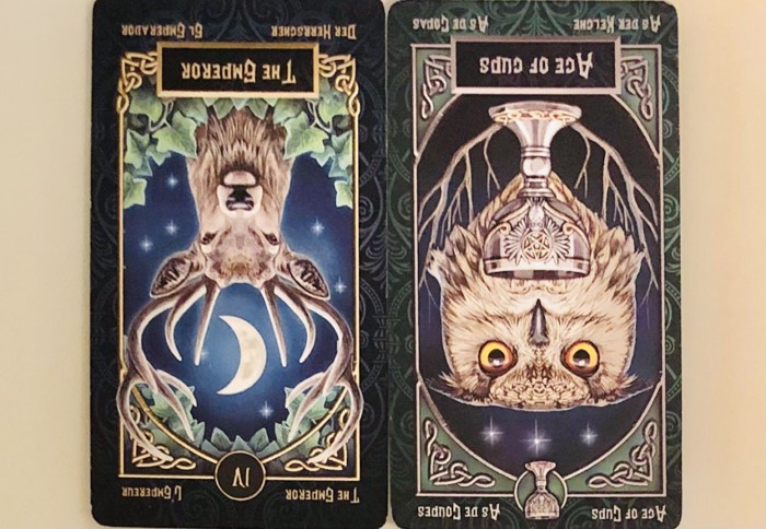 THEEMPEROR/ACEofCUPS