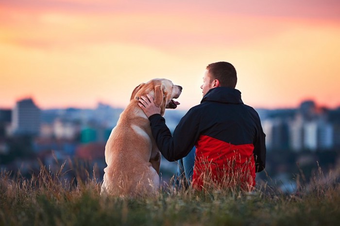 並んで座っている男性と犬の後ろ姿