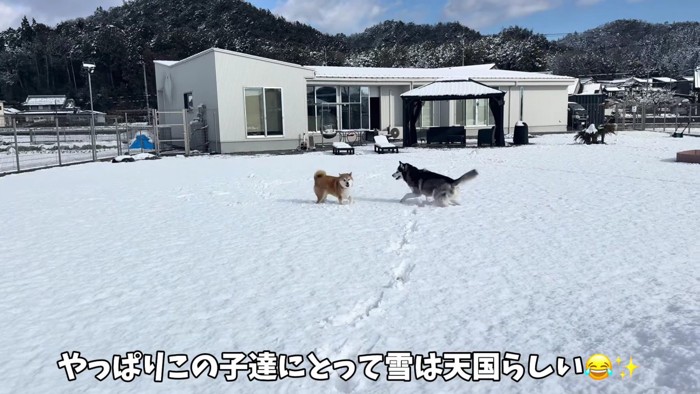 お庭で雪遊び!!