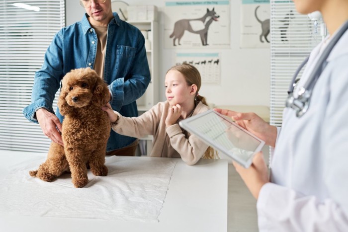 問診中の犬