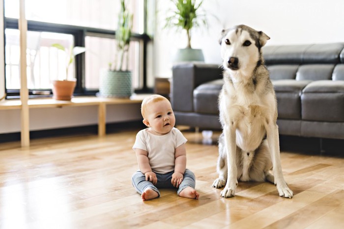 お座りしている犬と子ども