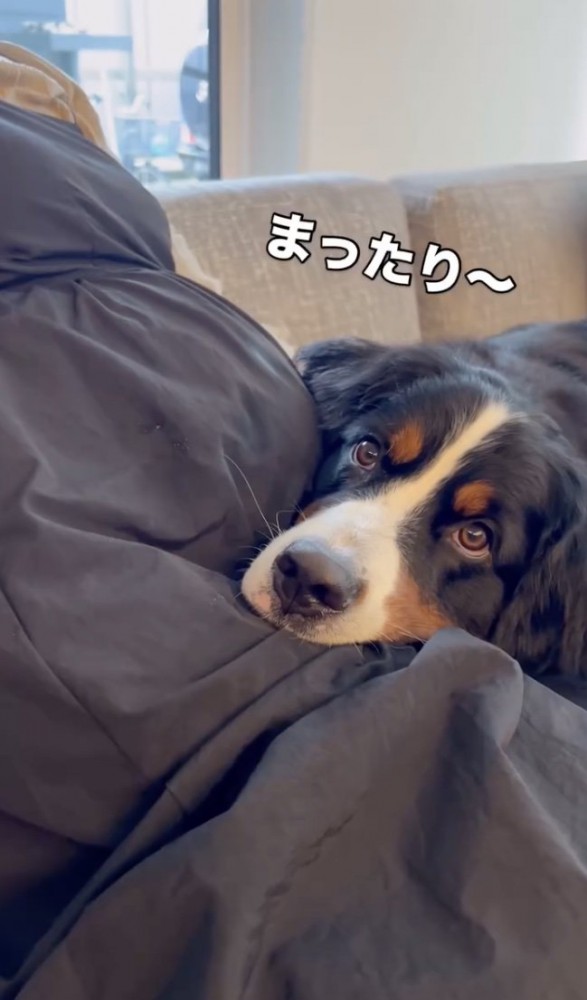 まったりタイム