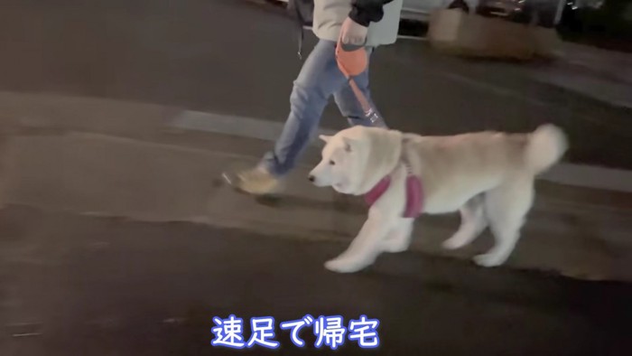 スタコラサッサと帰宅