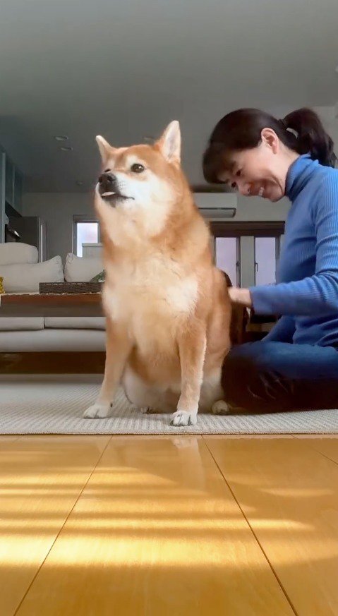 笑いながら犬の背中を撫でる女性