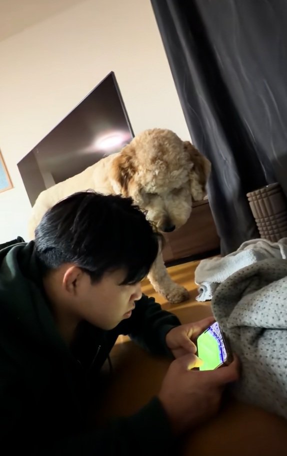 スマホを覗くはうるくん