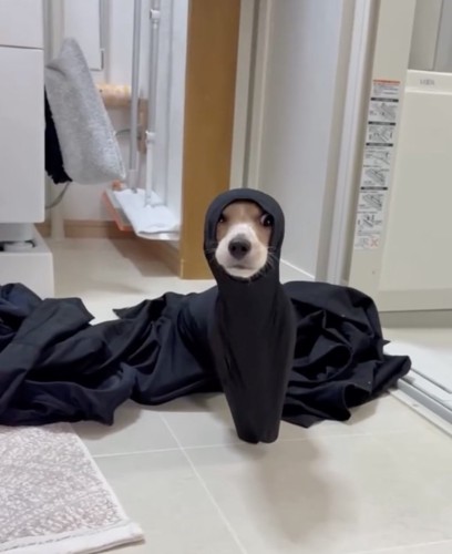 顔が出てきた！