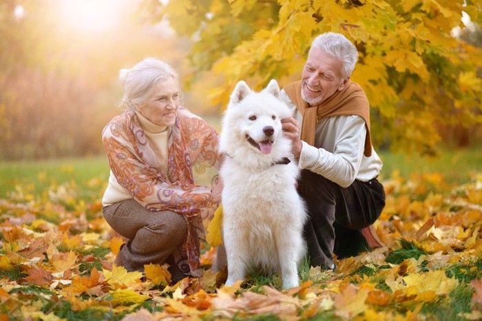 夫婦と犬