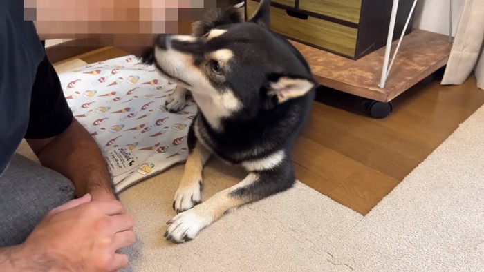 伏せる犬と男性