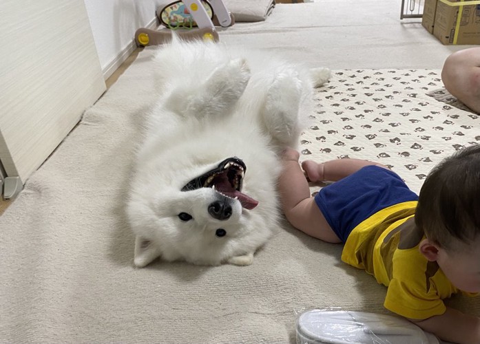 弟くんにアピール