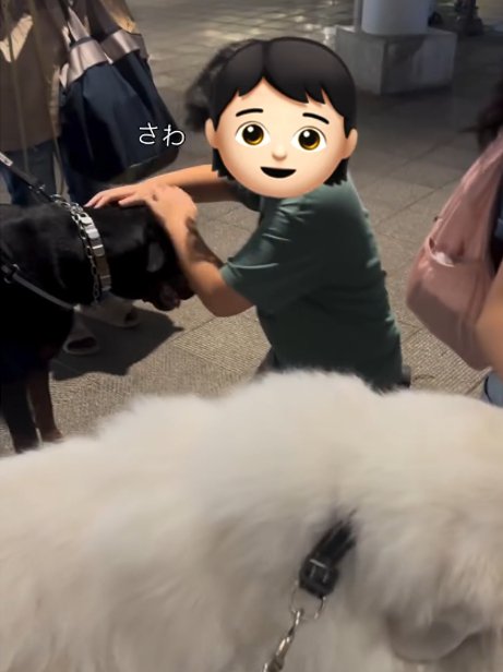 黒い犬を撫でる男の子