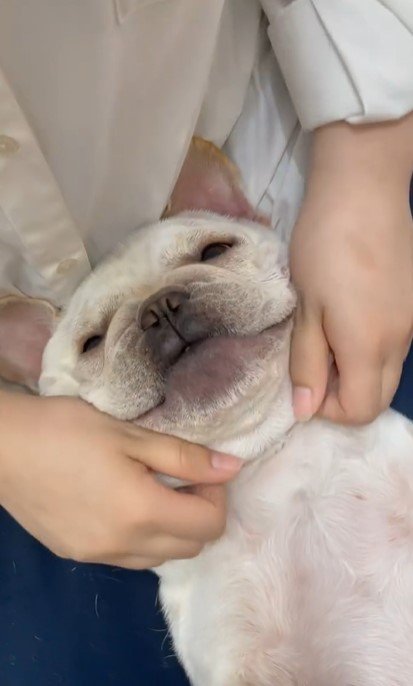 目を細めたままの花ちゃん