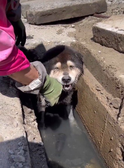 なんとか命が繋がれた