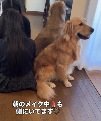 女の子の隣に座る犬