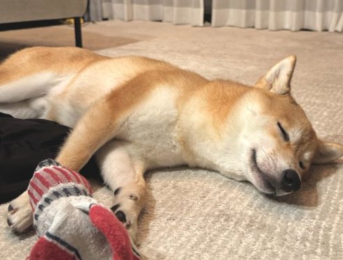 のんびり