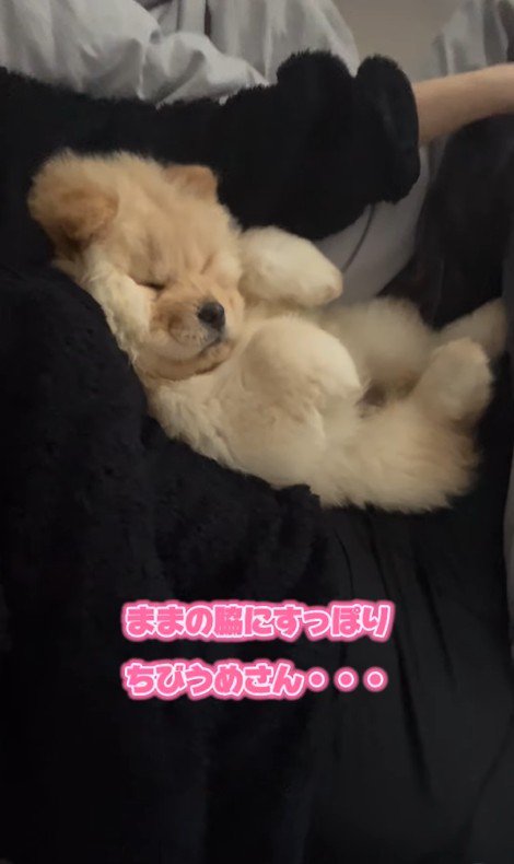 小梅ちゃんの成長2