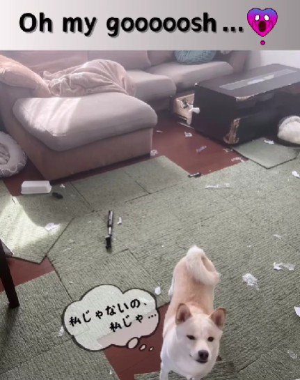 部屋がぐちゃぐちゃ！！