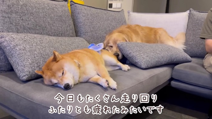 楽しい1日だったね！