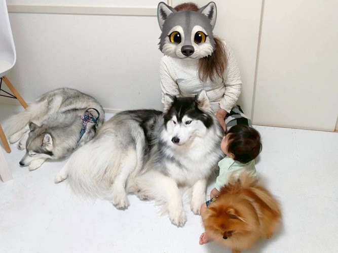 弟くんに集まる