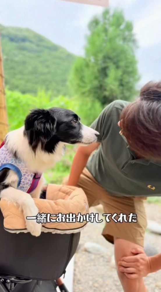 顔を覗き込む男性を見つめる犬