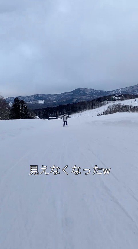 2匹の犬を追いかけてスキーで雪道を滑っていく飼い主