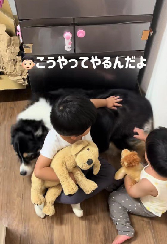 「こうやってなでるんだよ」