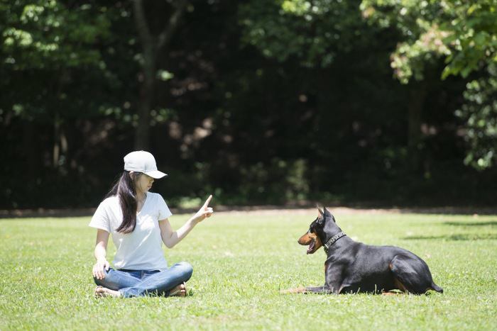 犬に指示を出す女性