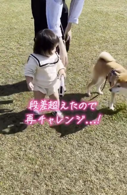 再チャレンジのみーちゃん
