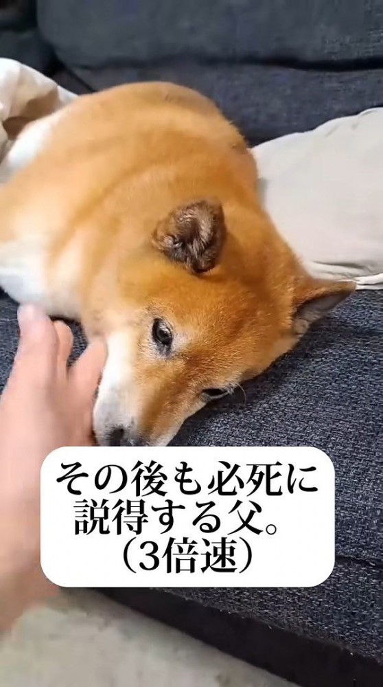 必死の説得もスルー