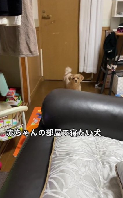 何かを訴えかける