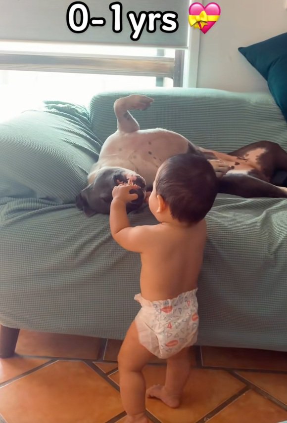 ゆめちゃんの口を触るハリーくん