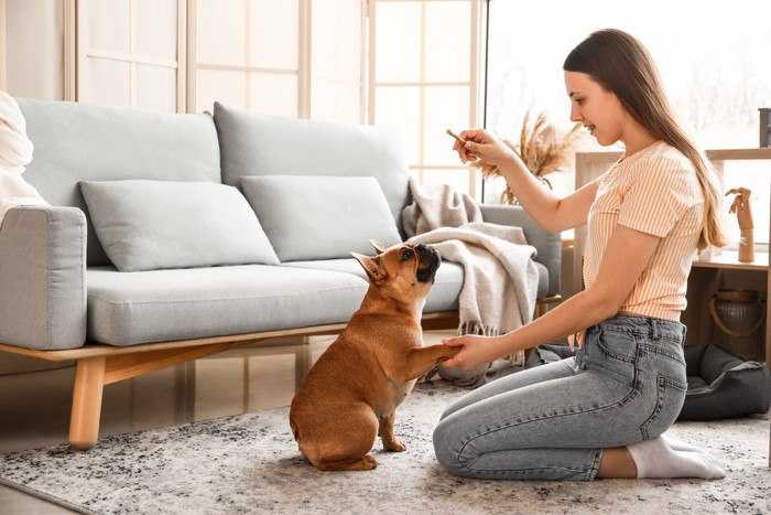 おやつを犬に与える女性