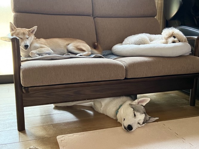 幸せな日々