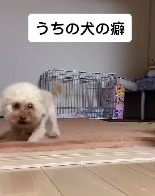 「どんな話か聞かせて！！」