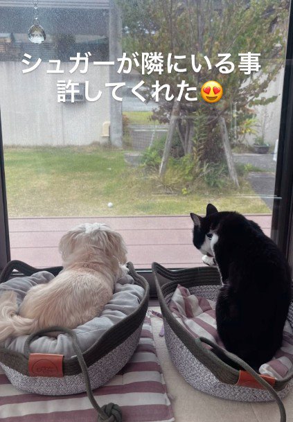 徐々に距離が縮まった