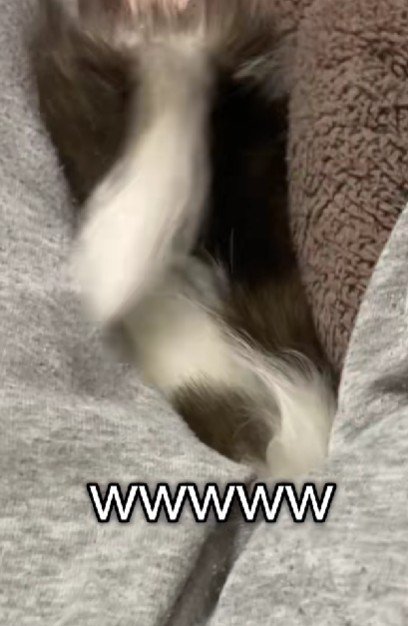 ニオイの元はどこ!?