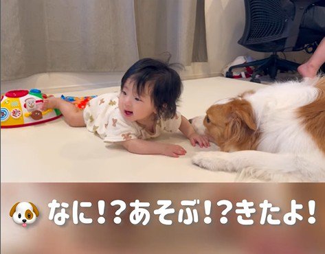 赤ちゃんを遊びに誘うまめ君8