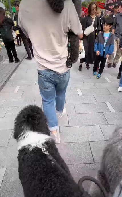 目を引く一行に