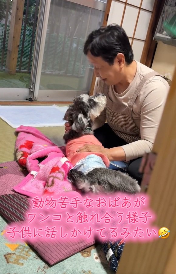 顔を近づけるジジくん