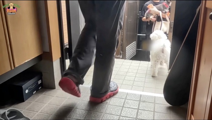 飼い主に抱っこされる犬