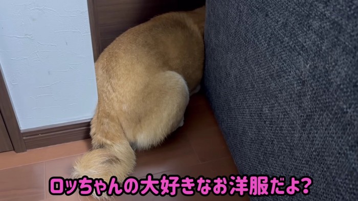 「信じない！！」