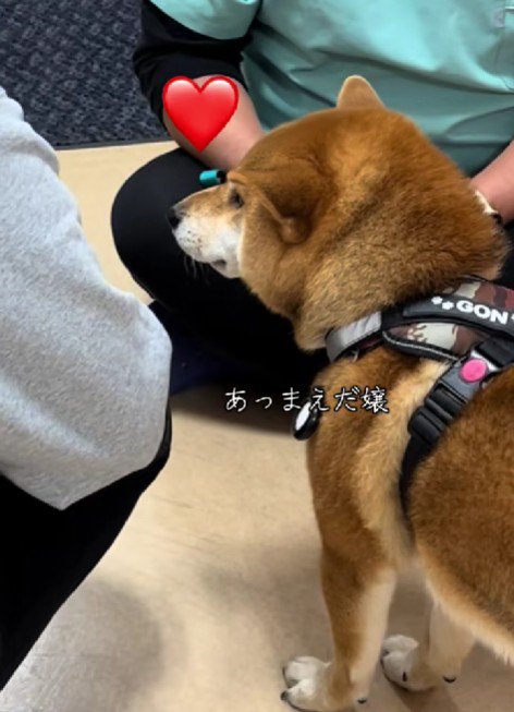 看護師さんが来ると…