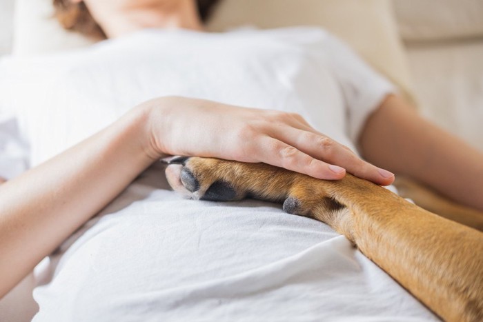 横になった女性とセラピー犬の前足