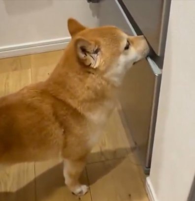 食いしん坊