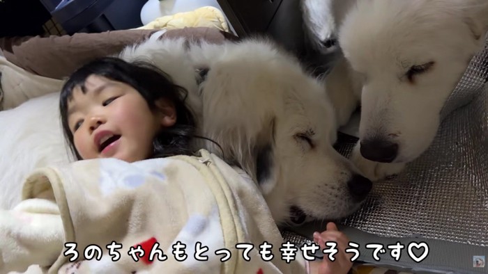 微笑ましい光景にホッコリ