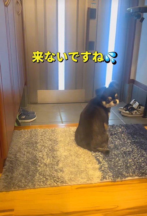 「おばあちゃん、まだかな?」