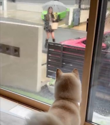 3週間