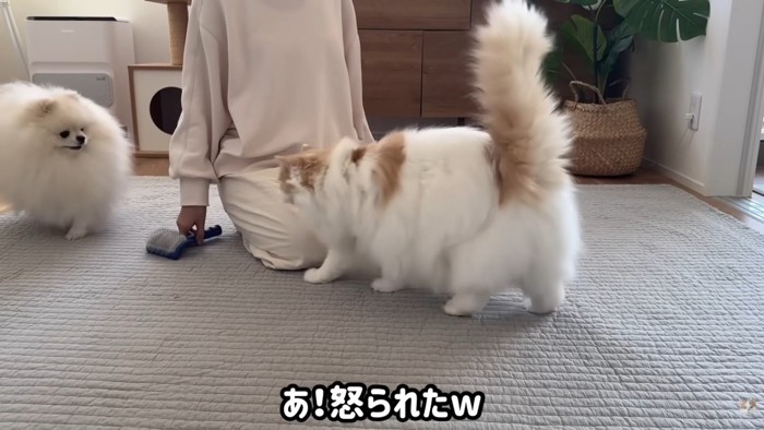 怒られたポテチくん2